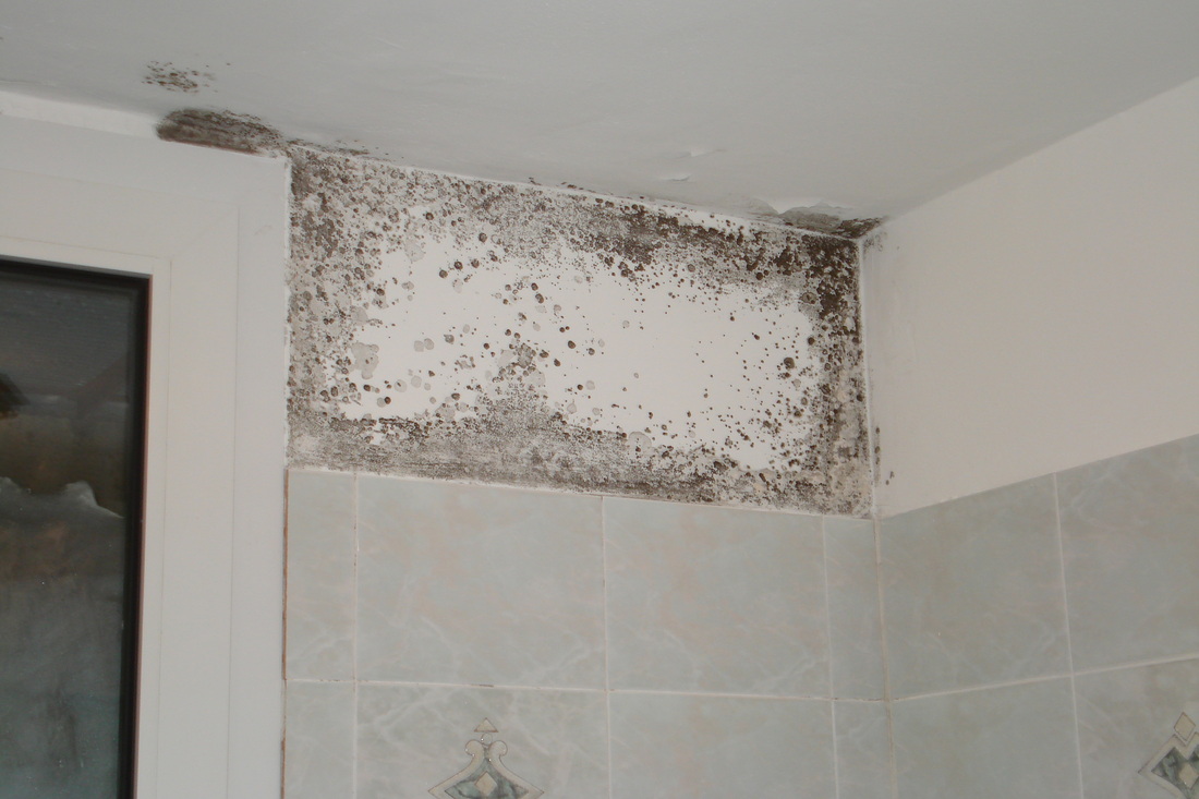 afb. 17.4 - 3 Schimmel in een badkamer. Condensvorming aan de niet geïsoleerde buitenmuur