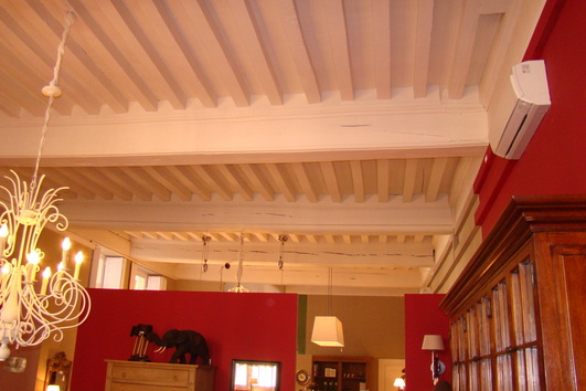 08.3.1 - 2 Prachtig, zo'n oud plafond à la Française!