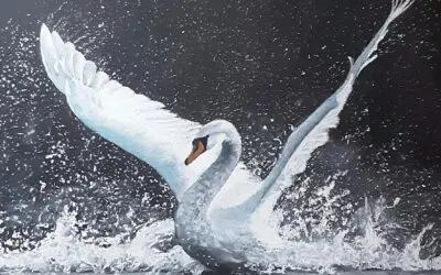 Linda Propstra, amateur tekenaar