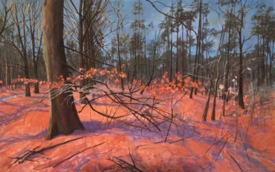 Laurens Boersma (Oosterwierum 1957) – beeldend kunstenaar