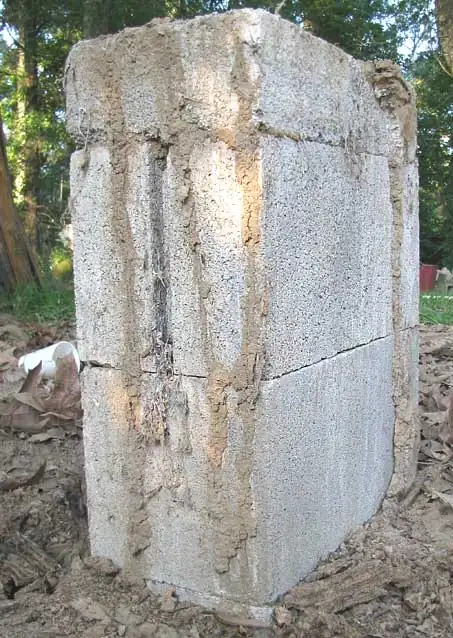 Modderbuisjes — Termietenbuisjes op metselwerk of beton — direct spoor langs muur of fundering.