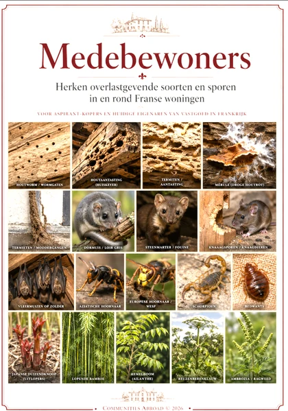 Cover van het printbare dossier Medebewoners