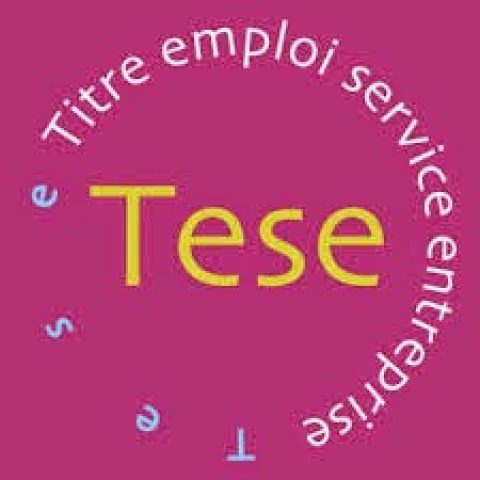 Titre Emploi Service Entreprise (TESE)