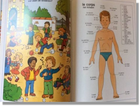 Bestaat er wel iets als een echte beginner?